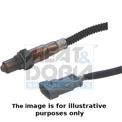 Oxygen Sensor